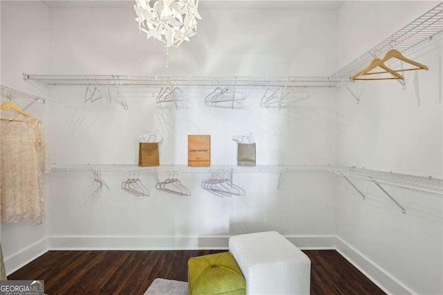 walk in closet featuring dark hardwood / wood-style flooring