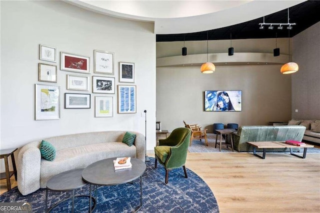 living room with hardwood / wood-style flooring and rail lighting