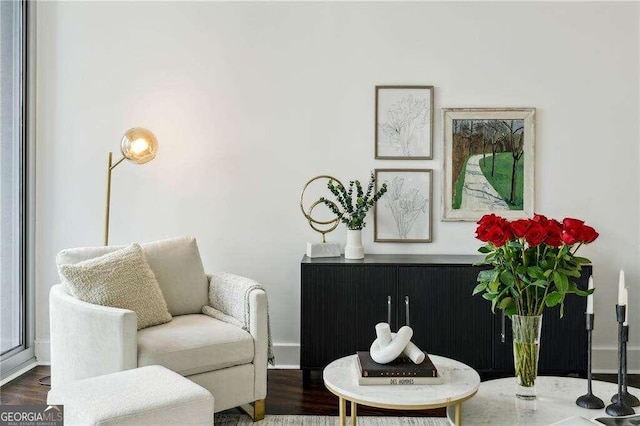 sitting room featuring dark hardwood / wood-style floors