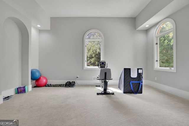 workout room with a wealth of natural light and carpet floors