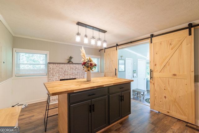 kitchen featuring wood counters, a barn door, decorative light fixtures, and dark hardwood / wood-style floors