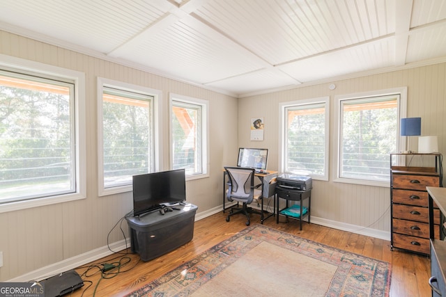 office featuring hardwood / wood-style floors, a wealth of natural light, and coffered ceiling