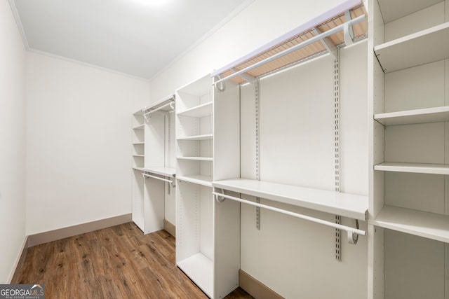 walk in closet with hardwood / wood-style flooring