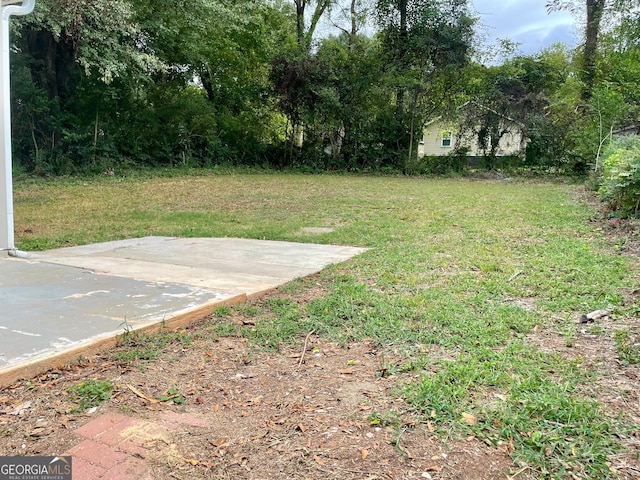 view of yard with a patio