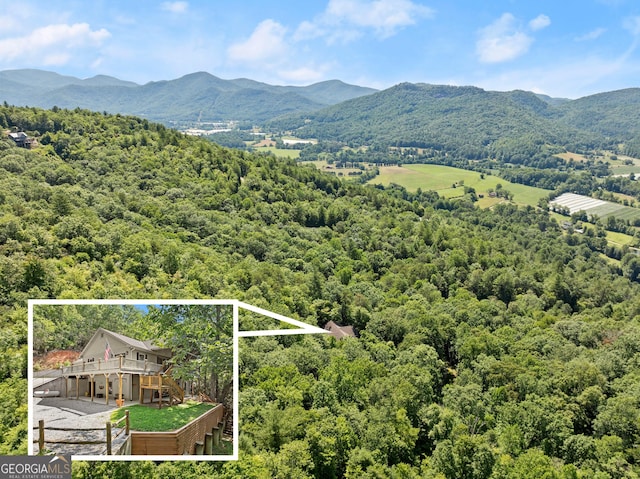 property view of mountains with a view of trees