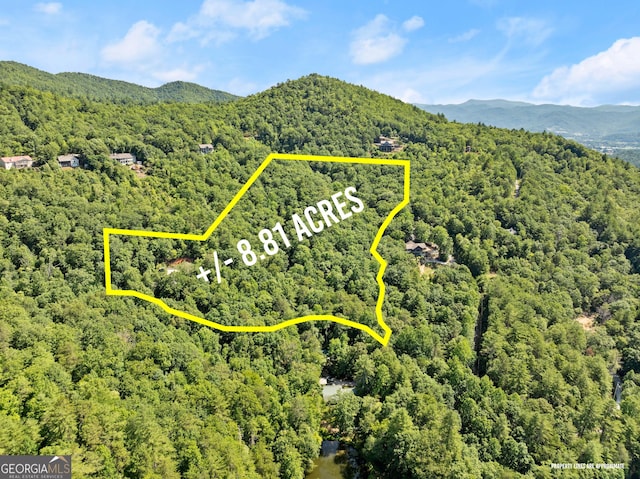 bird's eye view with a mountain view and a view of trees