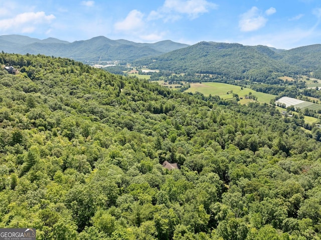 property view of mountains featuring a wooded view