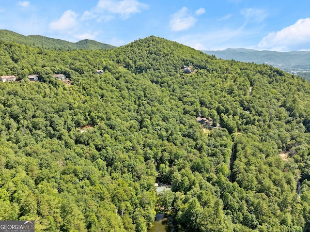 bird's eye view with a forest view and a mountain view