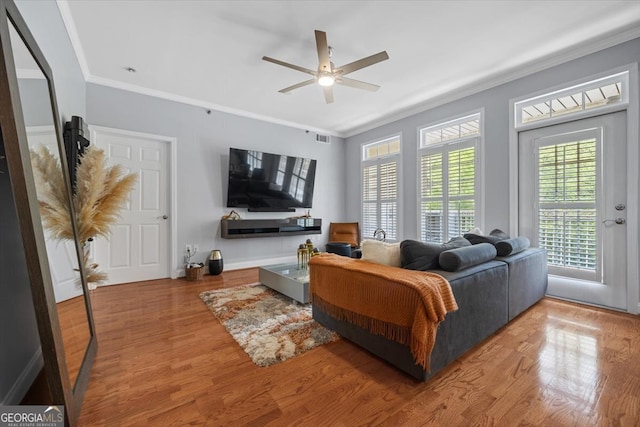 living room featuring ceiling fan, hardwood / wood-style flooring, and crown molding