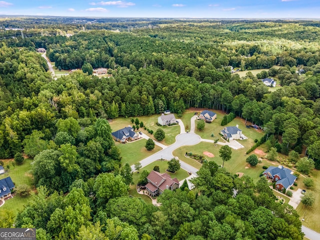 bird's eye view with a forest view