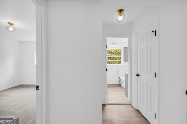 corridor featuring light hardwood / wood-style floors