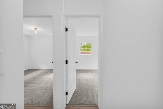 hallway featuring carpet floors