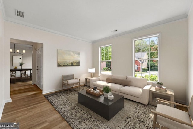 living room featuring crown molding and hardwood / wood-style floors