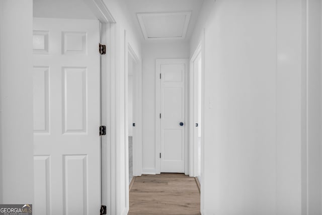 hall featuring light hardwood / wood-style floors