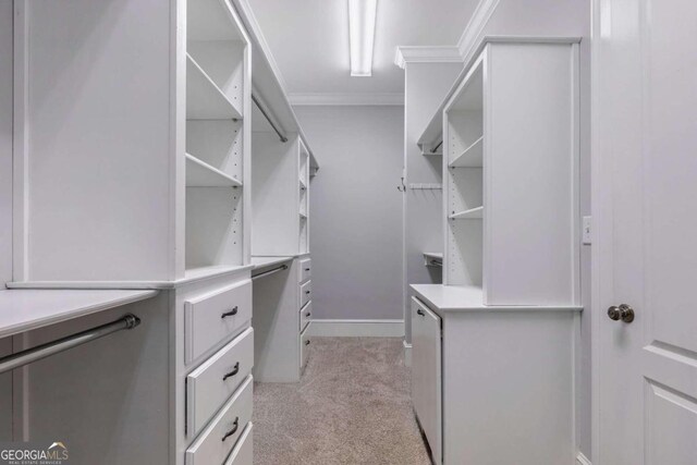 spacious closet with light colored carpet