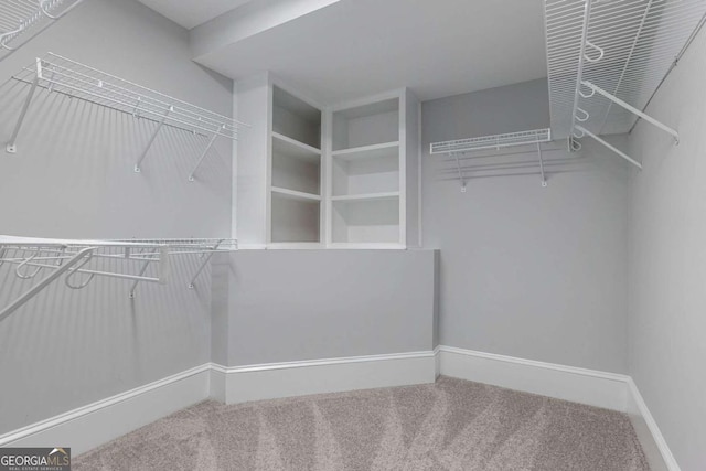 spacious closet featuring carpet