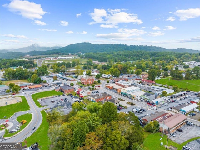 birds eye view of property featuring a mountain view