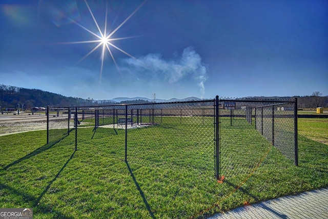 view of yard featuring a mountain view and a rural view