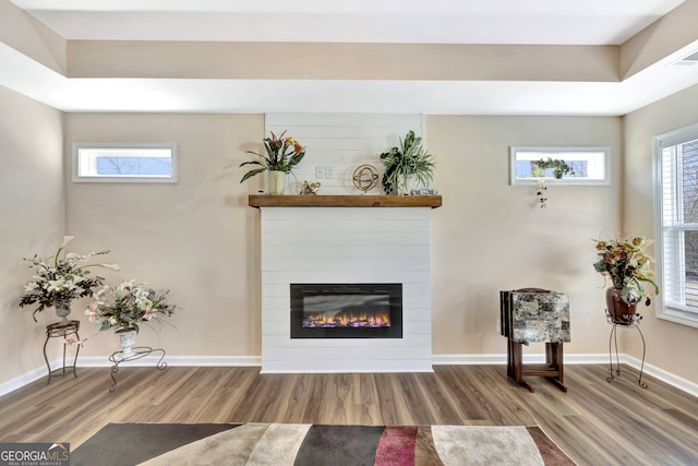 interior space featuring hardwood / wood-style flooring and a fireplace