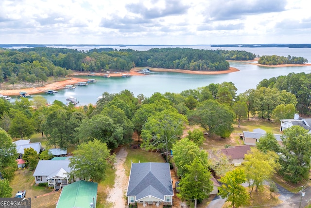 179 Bamboo Pt, Hartwell, GA 30643 - bird's eye view of a nearby body of water