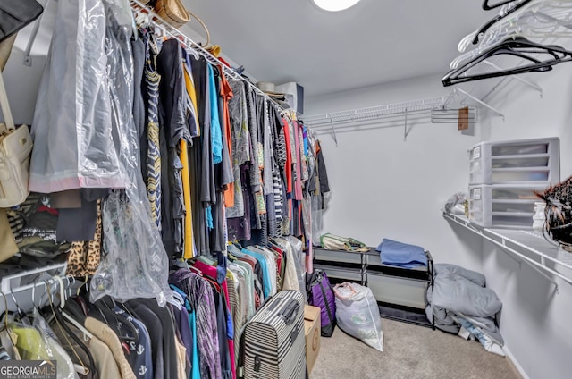 spacious closet with carpet floors