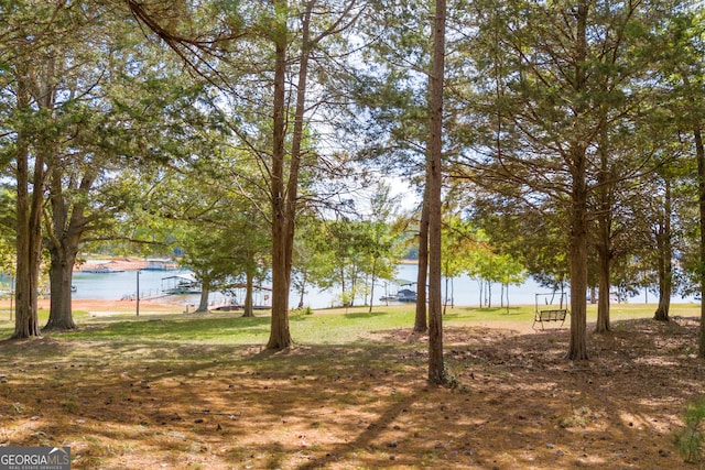 179 Bamboo Pt, Hartwell, GA 30643 - view of yard