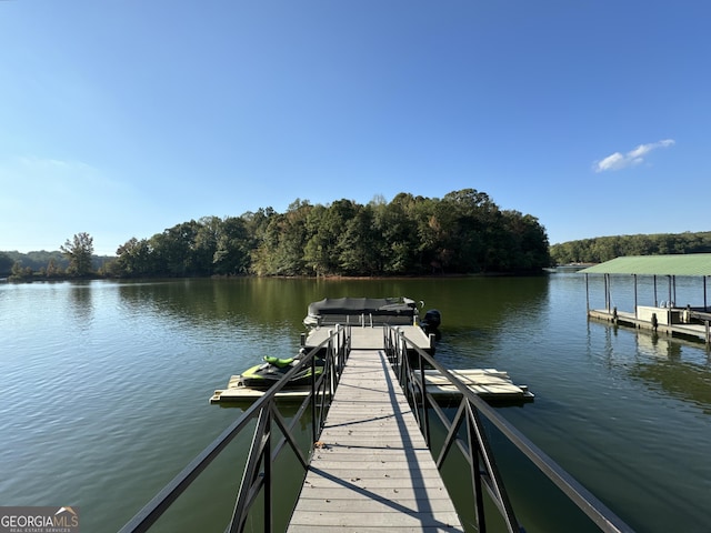 dock area with a water view