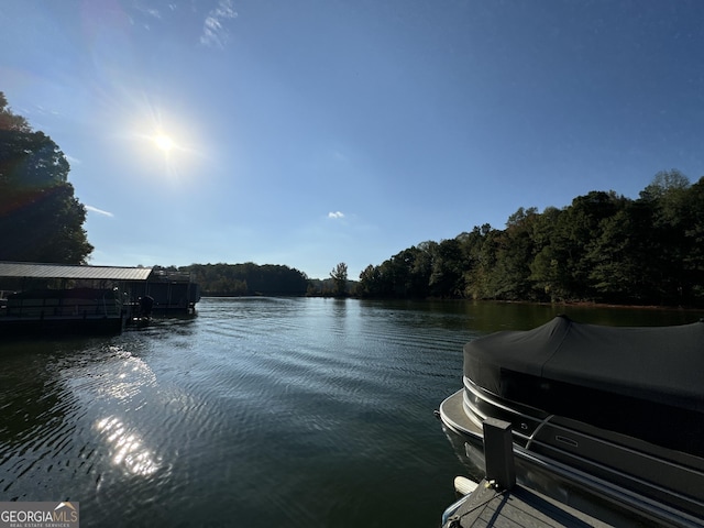 water view featuring a boat dock