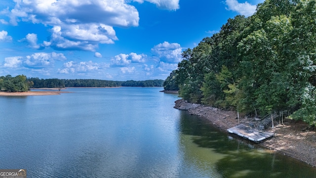 view of water feature