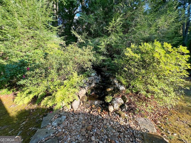 view of local wilderness