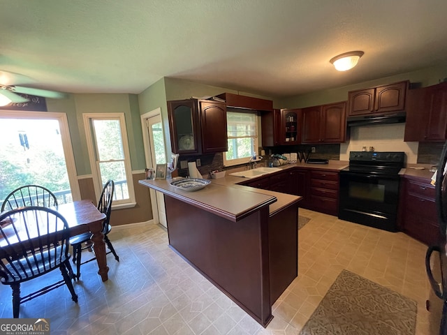 kitchen featuring dark brown cabinetry, ceiling fan, sink, and black electric range