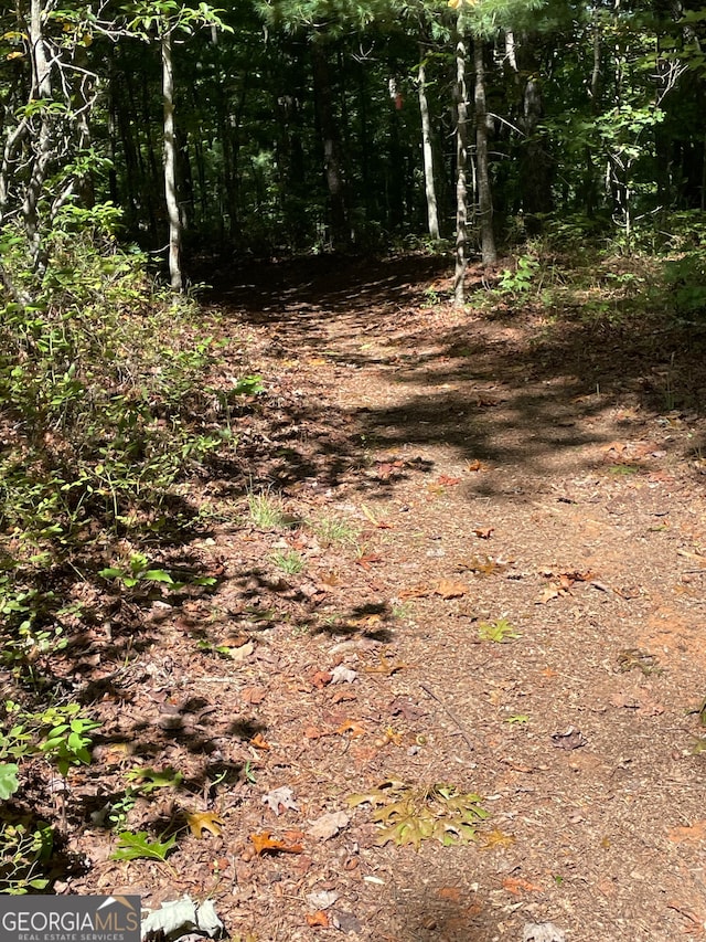 view of local wilderness