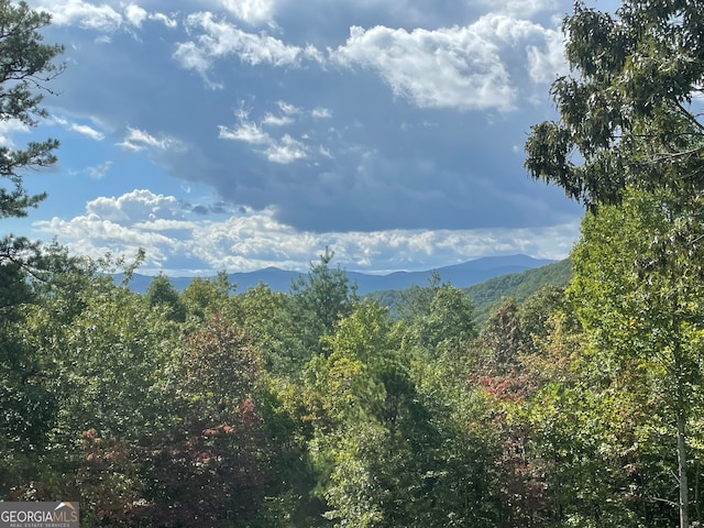 property view of mountains