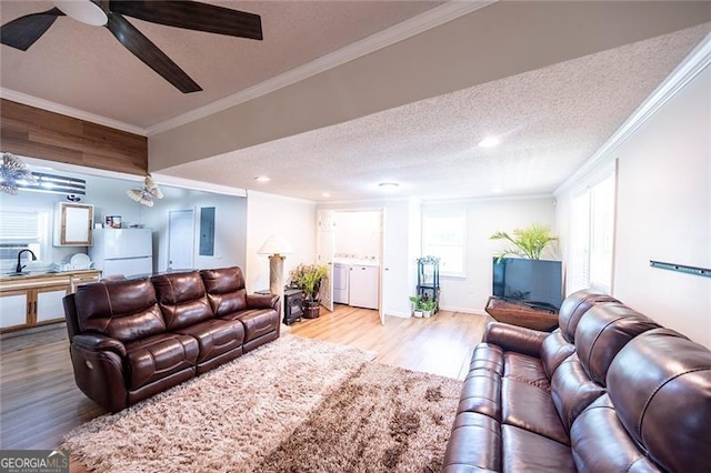 living room featuring ornamental molding, light hardwood / wood-style floors, ceiling fan, and a textured ceiling