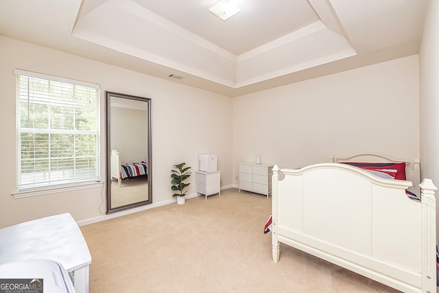 carpeted bedroom featuring a raised ceiling