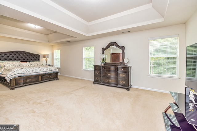 carpeted bedroom with multiple windows and a raised ceiling