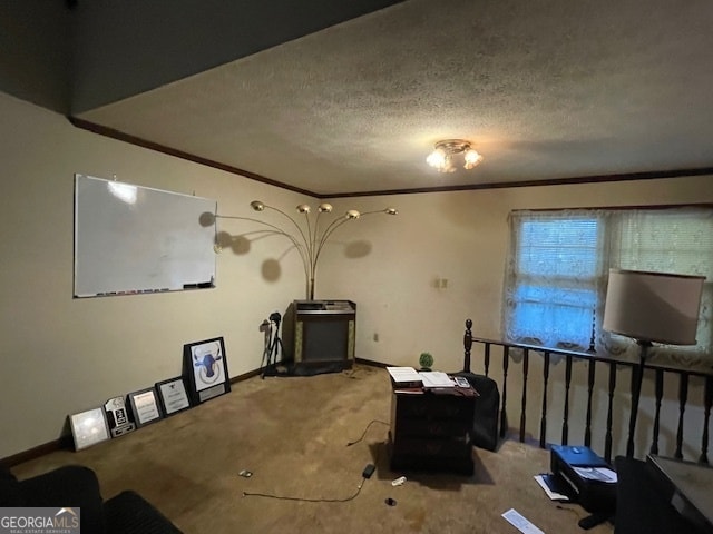 interior space with ornamental molding, a textured ceiling, and carpet flooring