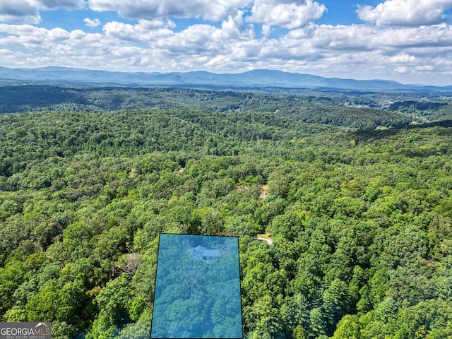 bird's eye view with a mountain view