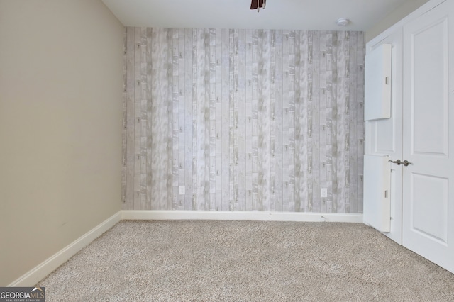 interior space featuring wood walls, a closet, and carpet flooring