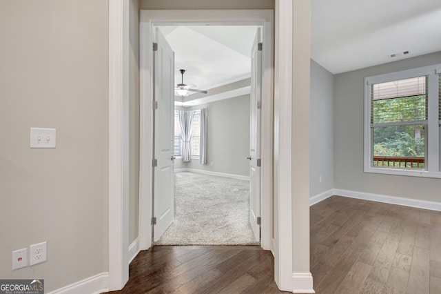 corridor featuring dark hardwood / wood-style flooring