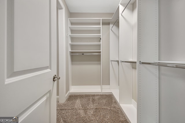 walk in closet featuring carpet floors