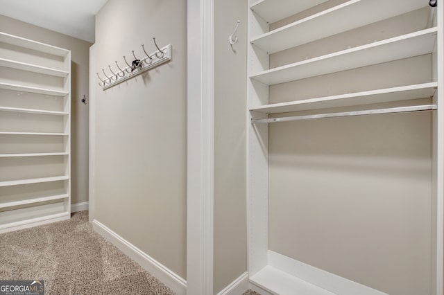 walk in closet featuring carpet flooring