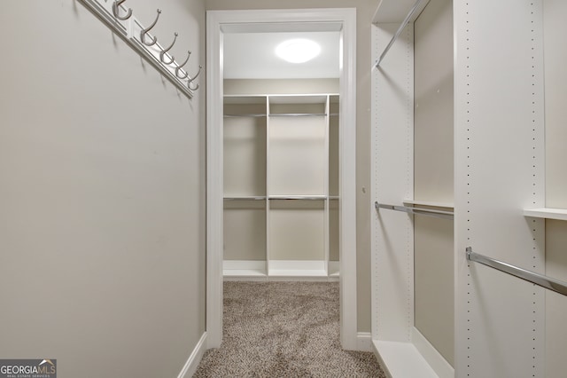 walk in closet with light colored carpet