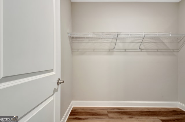 spacious closet with hardwood / wood-style floors