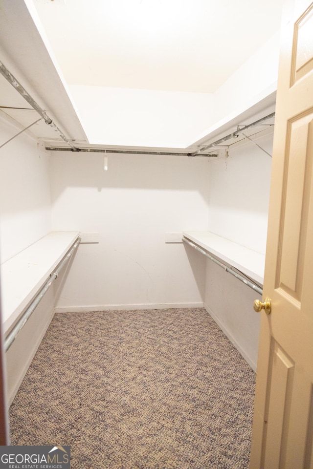 walk in closet featuring carpet floors