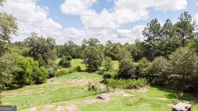 view of local wilderness