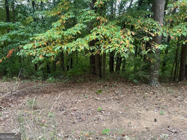 208 Oxford Cir NE, Ranger GA, 30734 land for sale