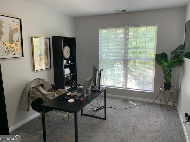 office space featuring a wealth of natural light and carpet