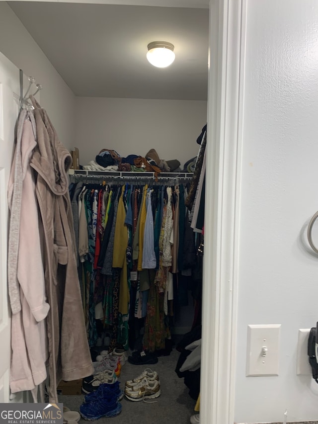 view of spacious closet