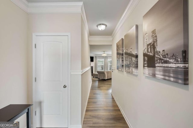 hallway with crown molding and dark hardwood / wood-style floors